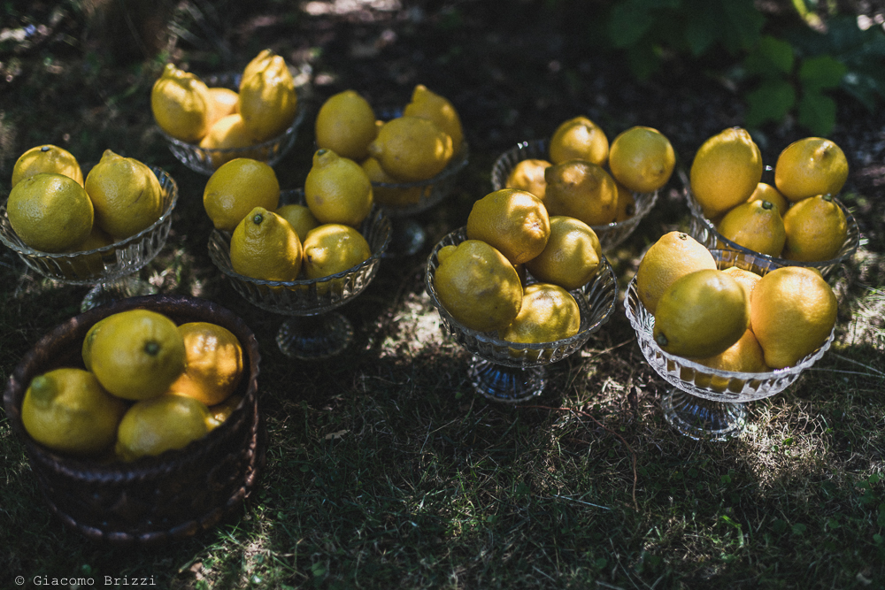 Foto limoni locali, fotografo matrimonio ricevimento la ginestra, finale ligure